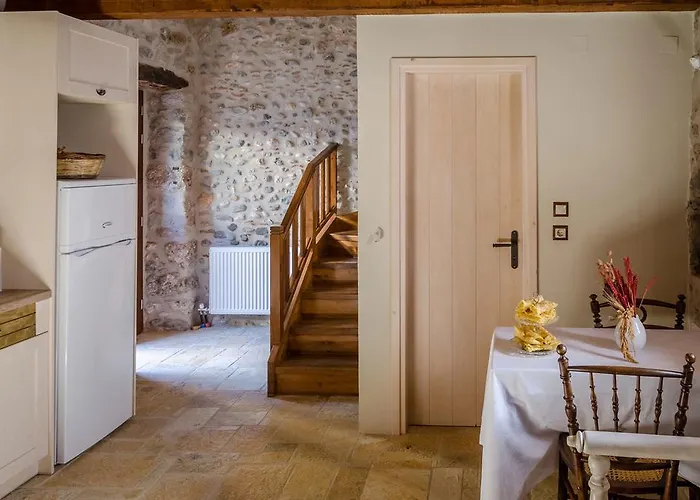 Ev Zin Folia Leonídion